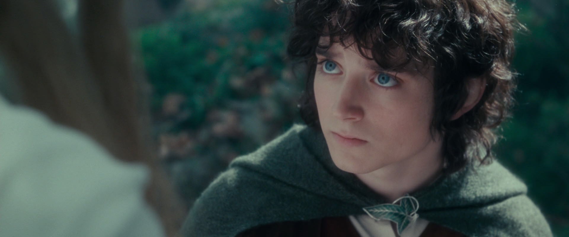 The Lord of the Rings: The Fellowship of the Ring (2001) HD screenshot 20396