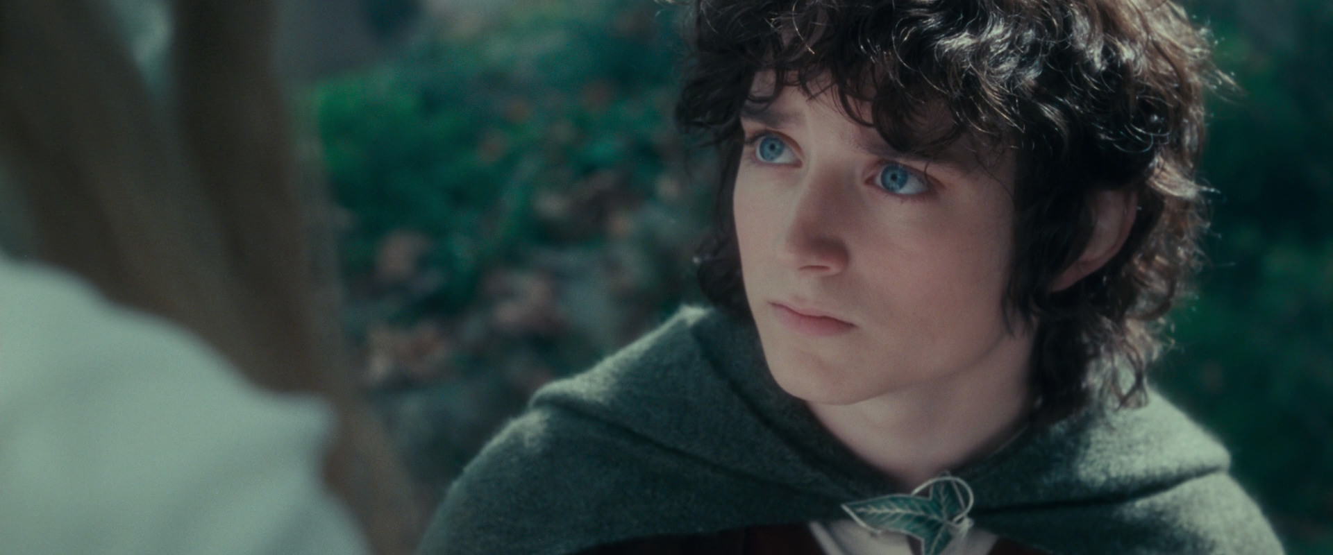 The Lord of the Rings: The Fellowship of the Ring (2001) screencap 20397