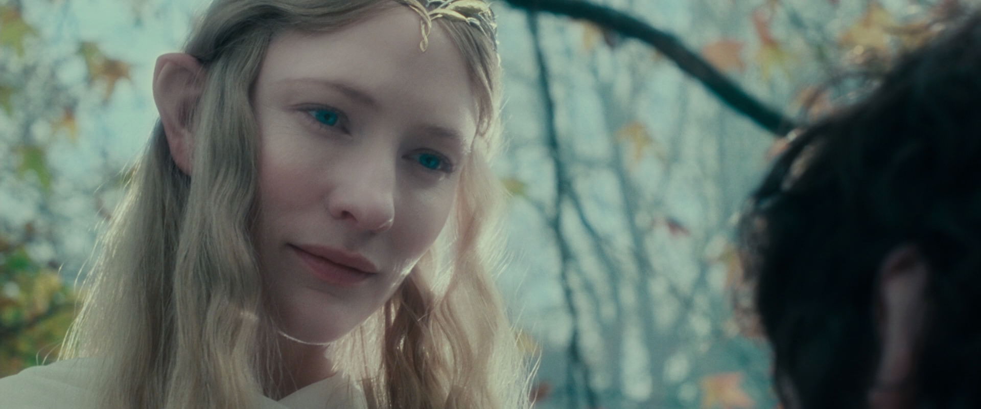 The Lord of the Rings: The Fellowship of the Ring (2001) HD screenshot 20399