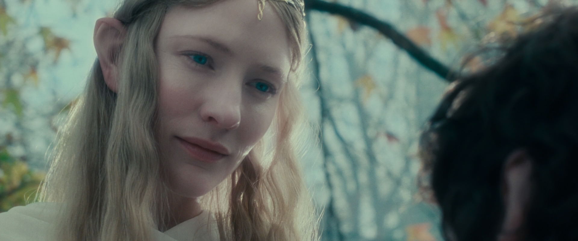 The Lord of the Rings: The Fellowship of the Ring (2001) screencap 20400