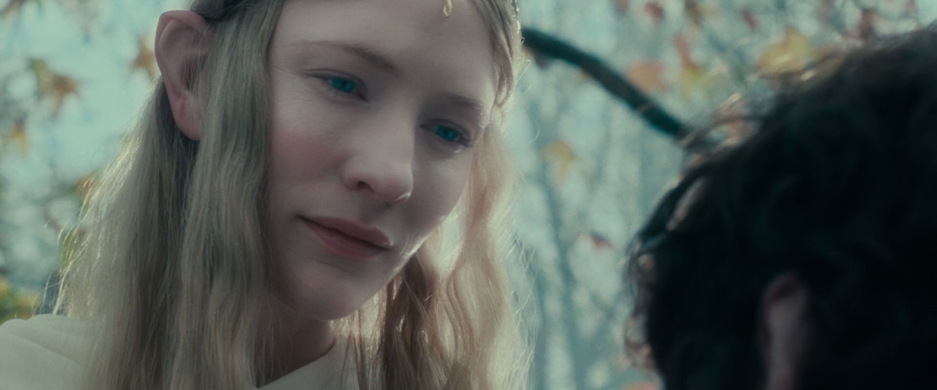 The Lord of the Rings: The Fellowship of the Ring (2001) movie still 20401