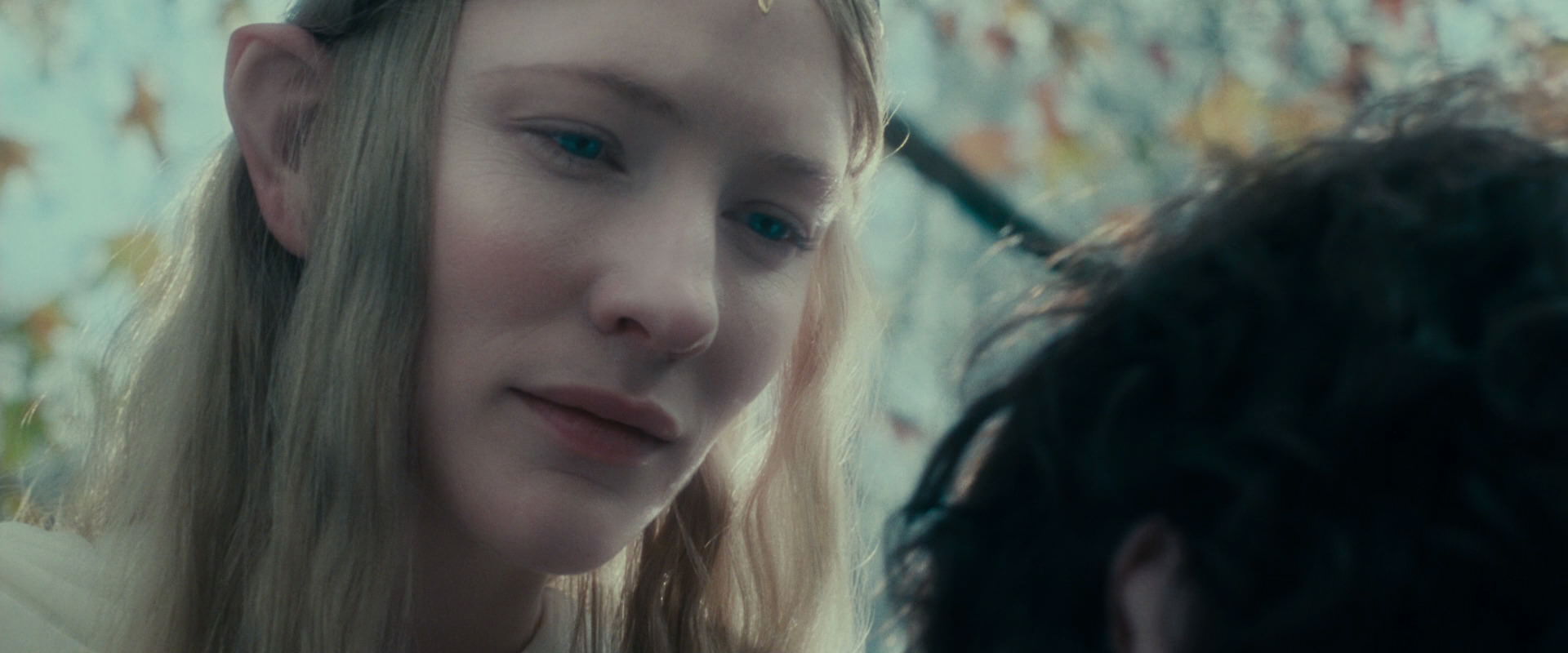 The Lord of the Rings: The Fellowship of the Ring (2001) HD screenshot 20402
