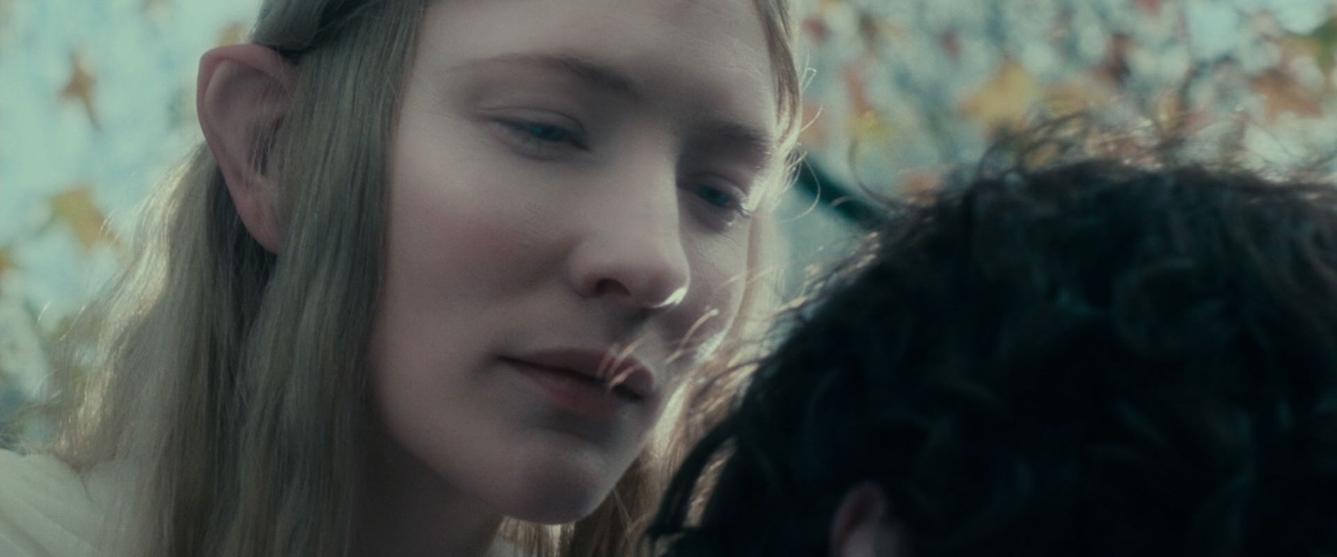 The Lord of the Rings: The Fellowship of the Ring (2001) screencap 20403