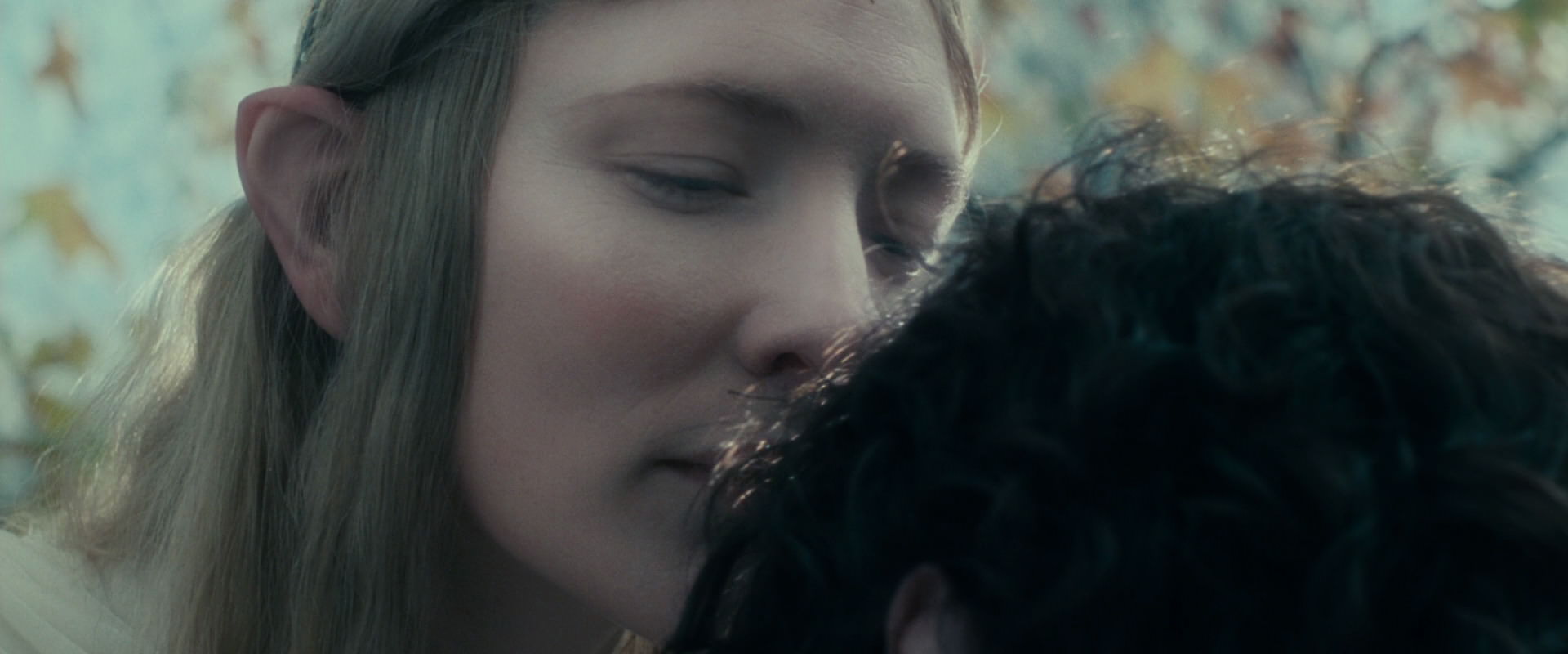 The Lord of the Rings: The Fellowship of the Ring (2001) movie still 20404