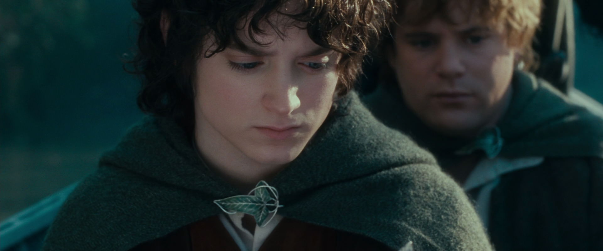 The Lord of the Rings: The Fellowship of the Ring (2001) screencap 20412