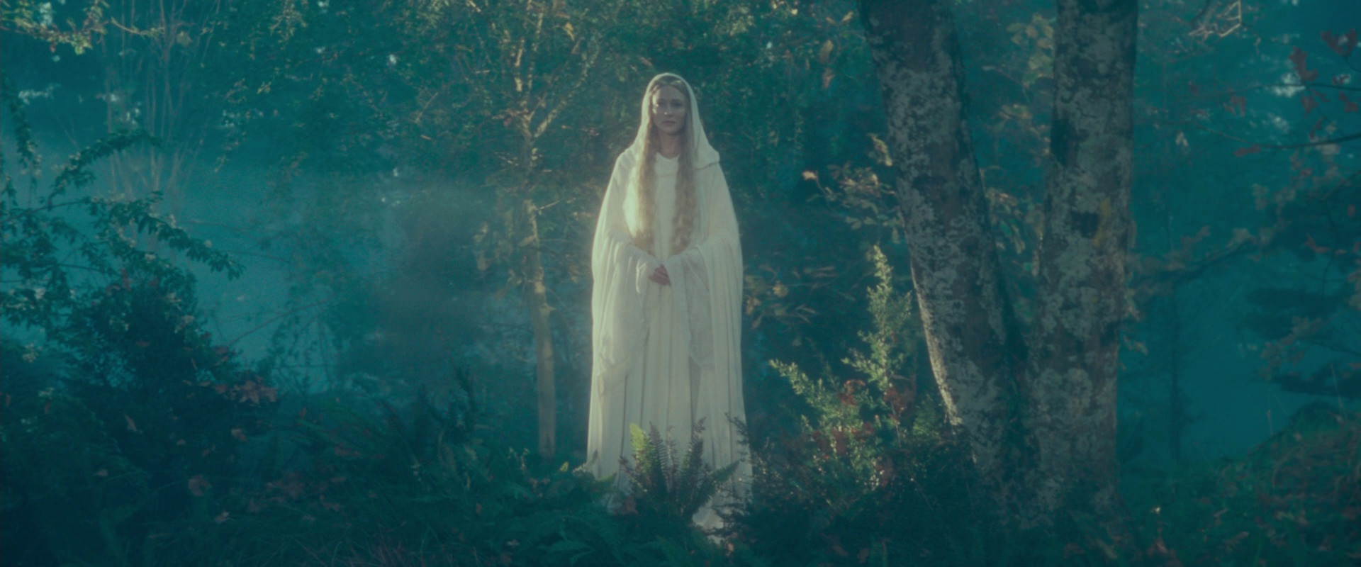 The Lord of the Rings: The Fellowship of the Ring (2001) screencap 20418