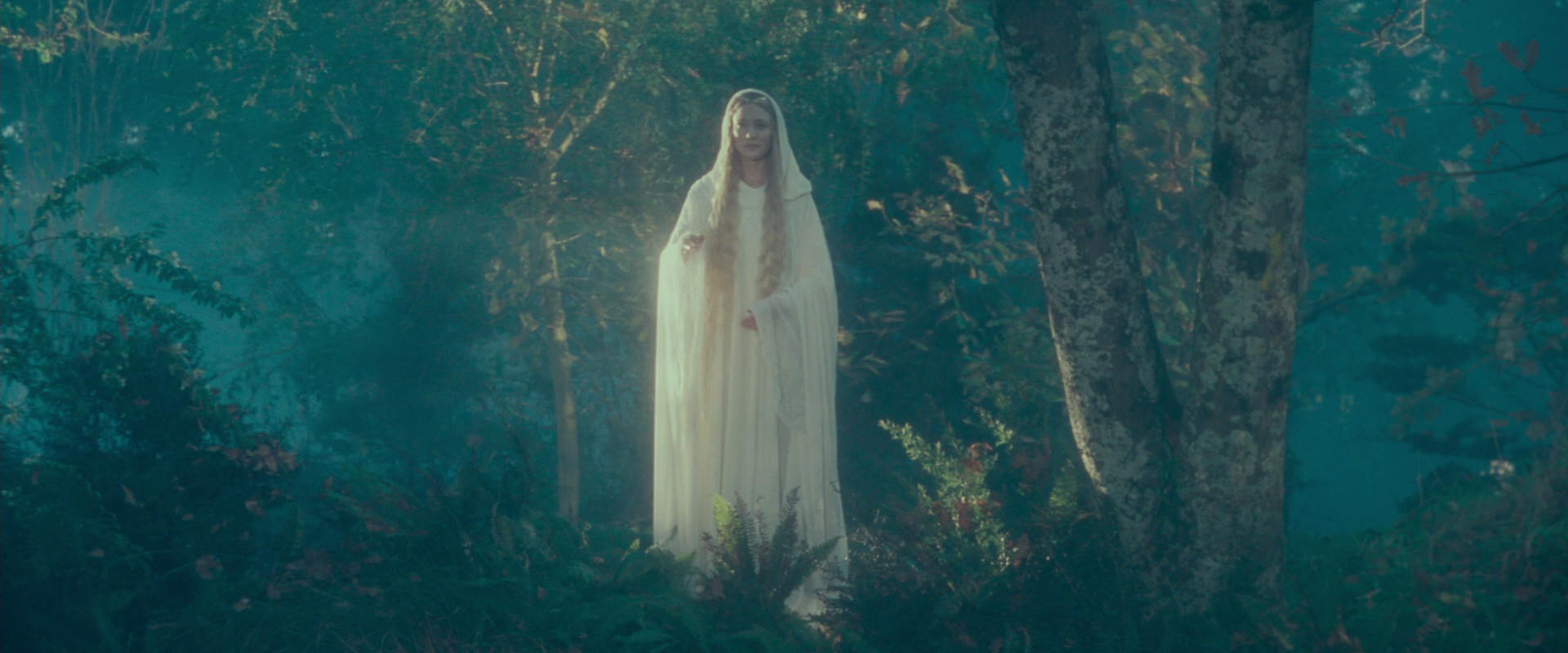 The Lord of the Rings: The Fellowship of the Ring (2001) screencap 20421