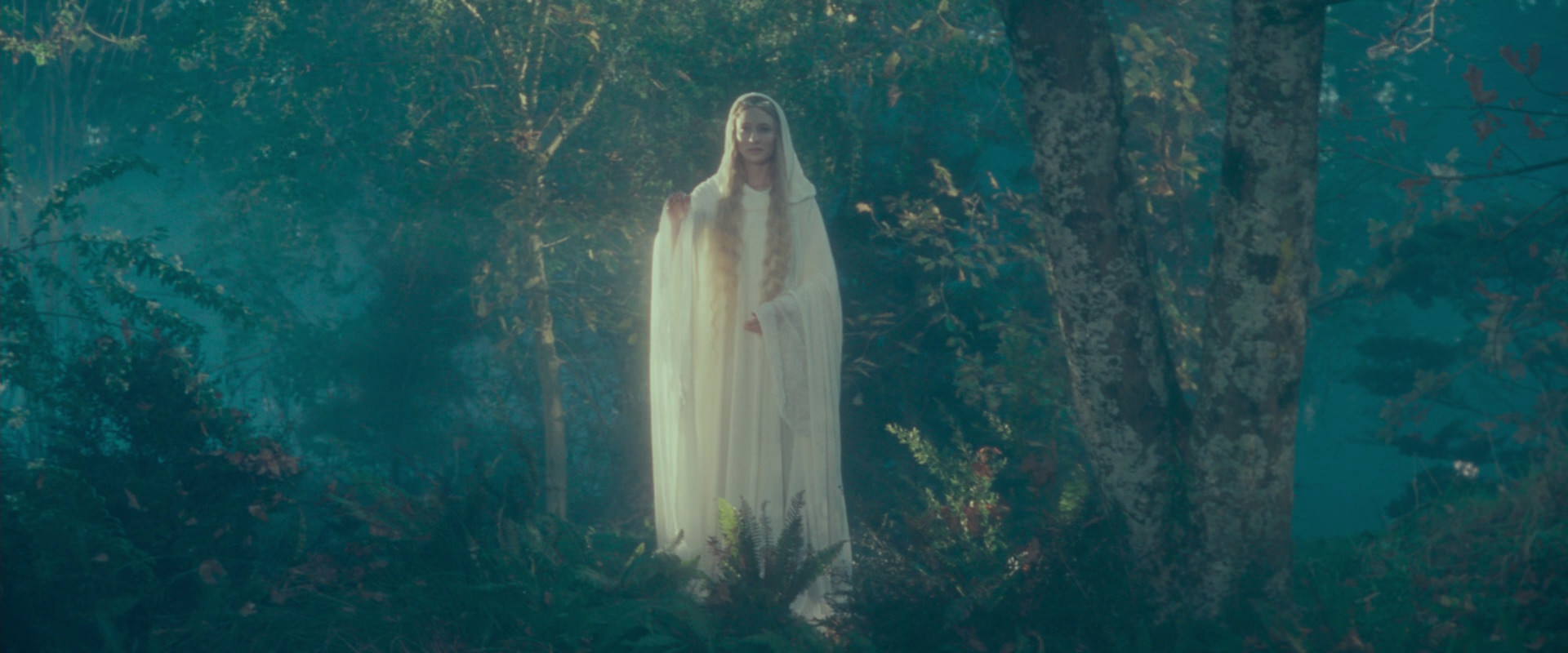 The Lord of the Rings: The Fellowship of the Ring (2001) movie still 20422
