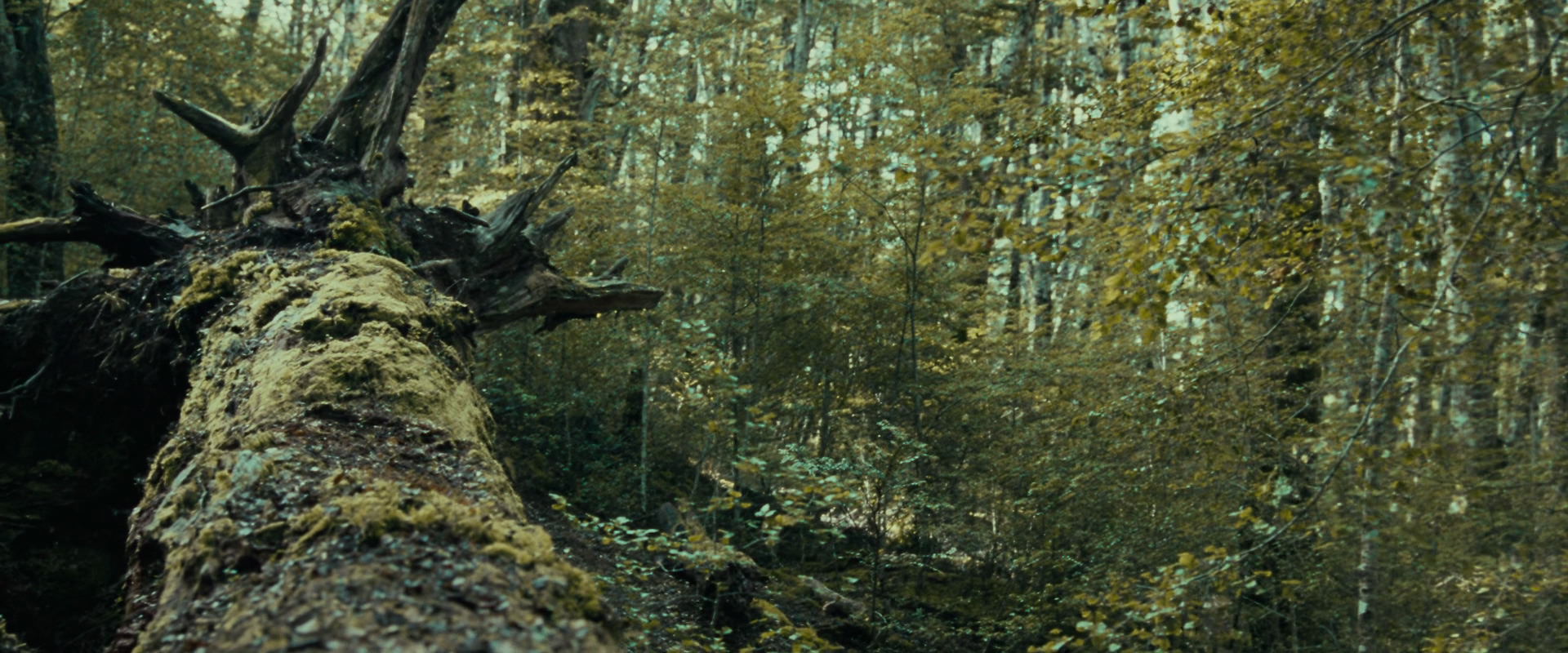 The Lord of the Rings: The Fellowship of the Ring (2001) screencap 20571