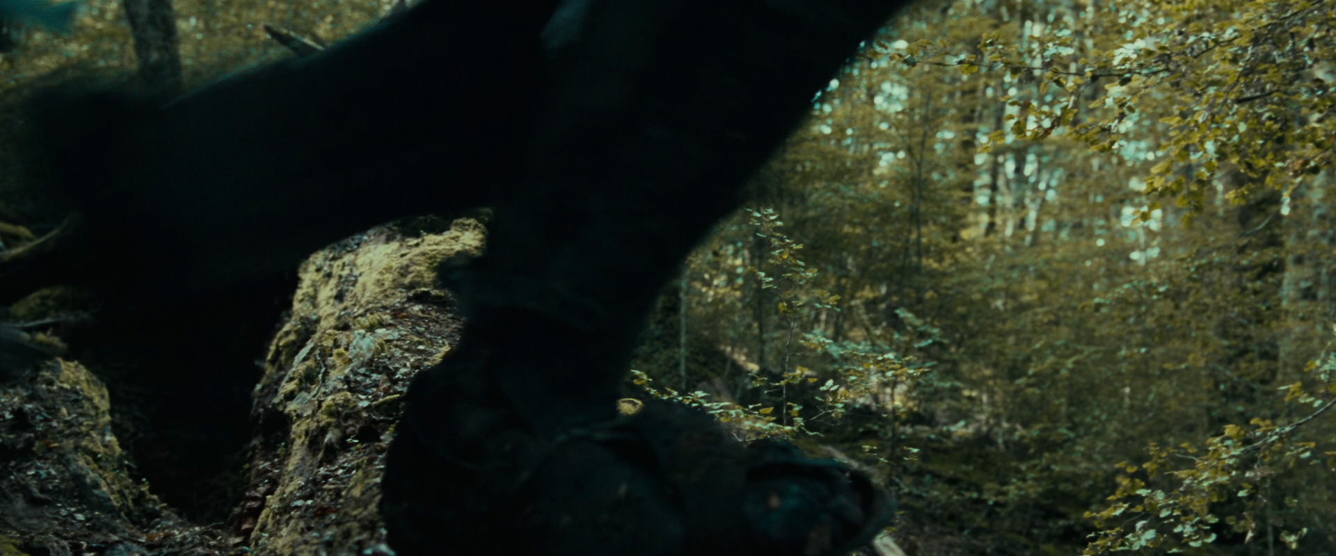 The Lord of the Rings: The Fellowship of the Ring (2001) HD screenshot 20576