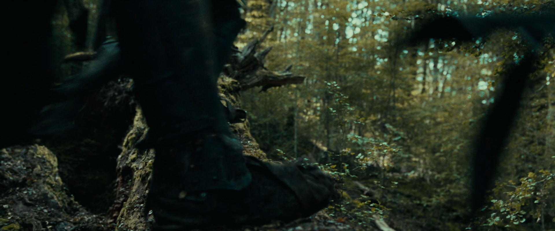The Lord of the Rings: The Fellowship of the Ring (2001) screencap 20577