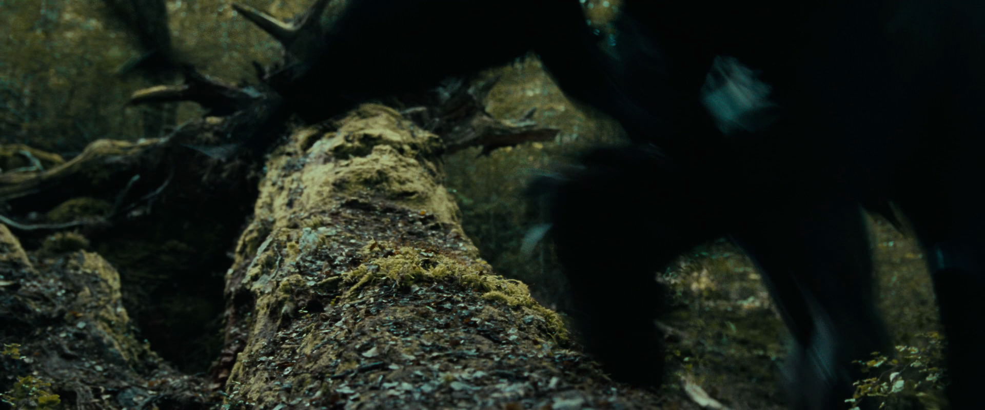 The Lord of the Rings: The Fellowship of the Ring (2001) movie still 20578