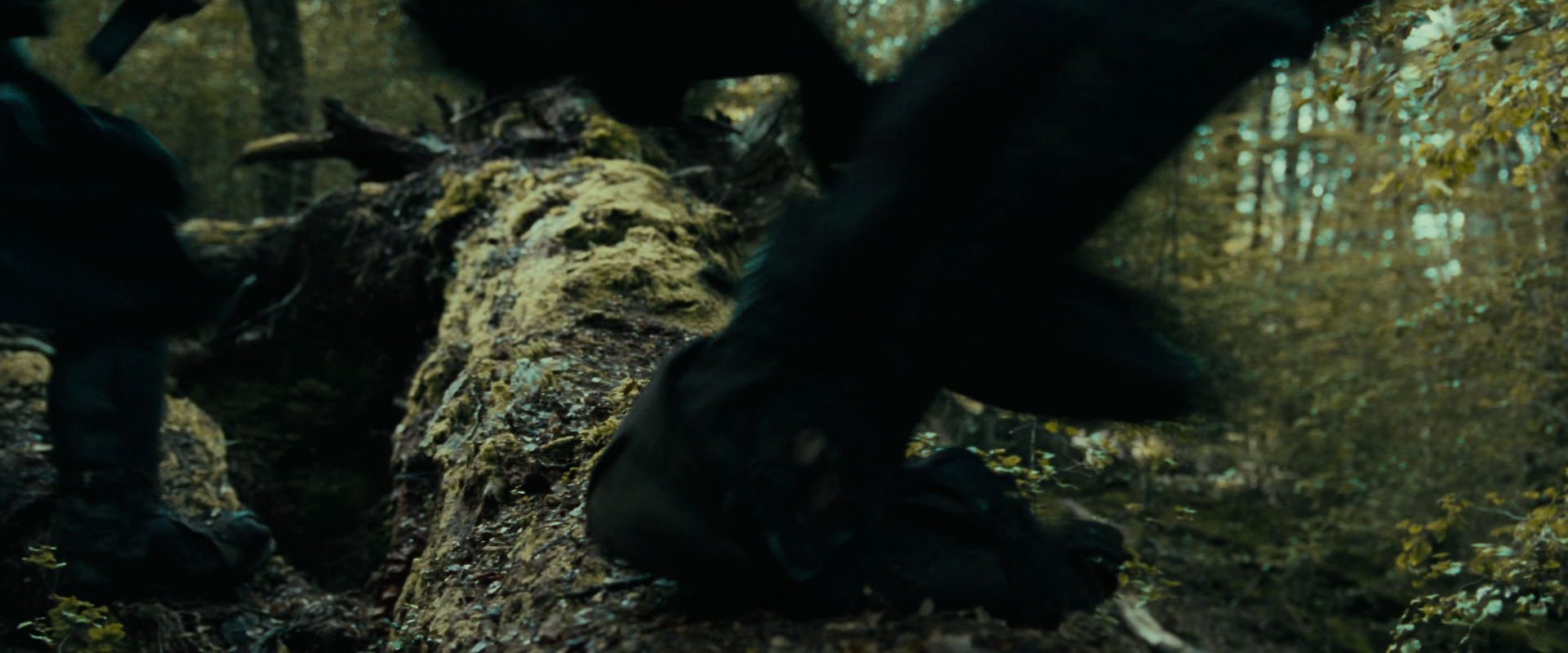 The Lord of the Rings: The Fellowship of the Ring (2001) HD screenshot 20579
