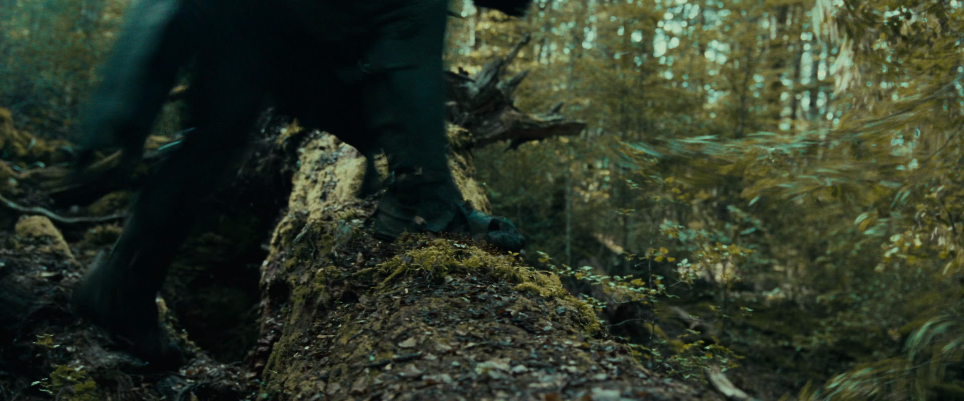 The Lord of the Rings: The Fellowship of the Ring (2001) screencap 20580