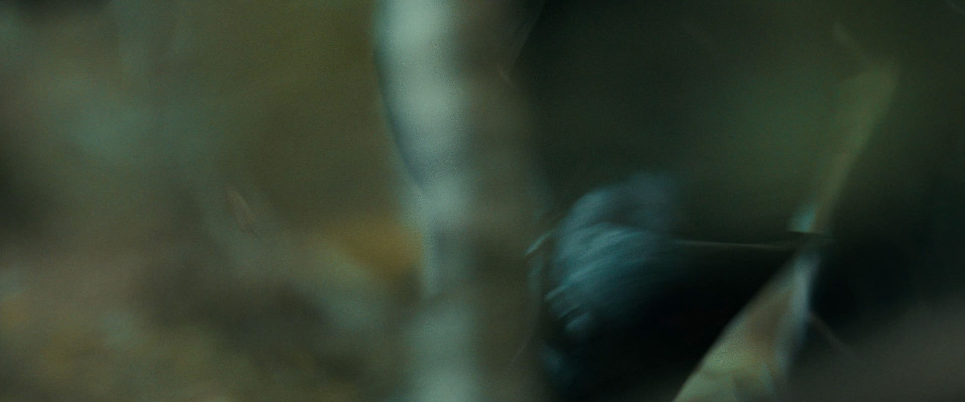 The Lord of the Rings: The Fellowship of the Ring (2001) screencap 20589