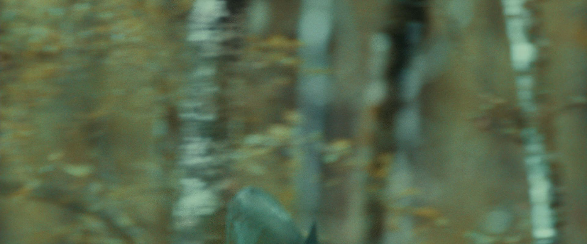 The Lord of the Rings: The Fellowship of the Ring (2001) HD screenshot 20591