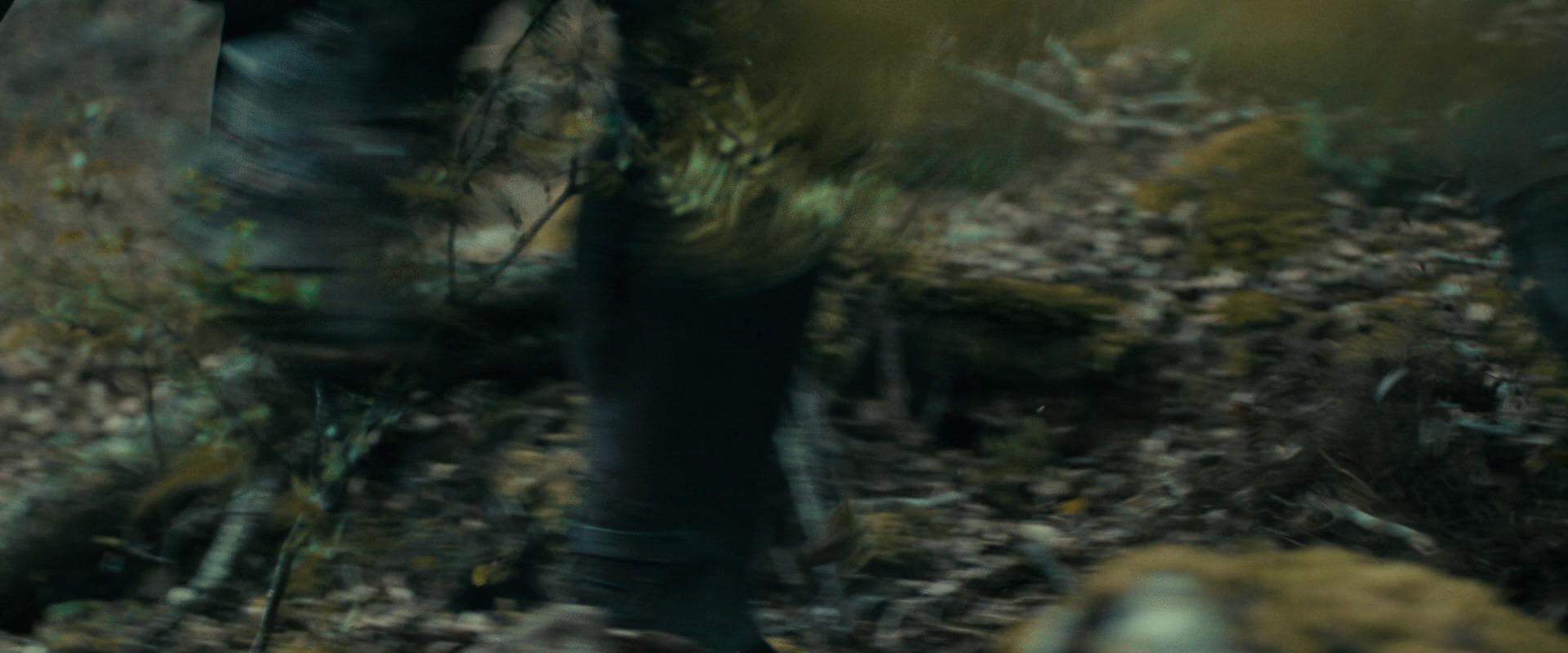 The Lord of the Rings: The Fellowship of the Ring (2001) movie still 20599