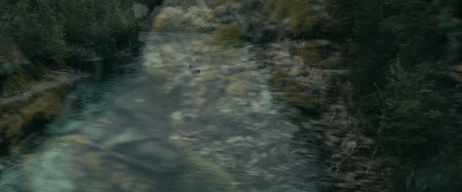 The Lord of the Rings: The Fellowship of the Ring (2001) HD screenshot 20600