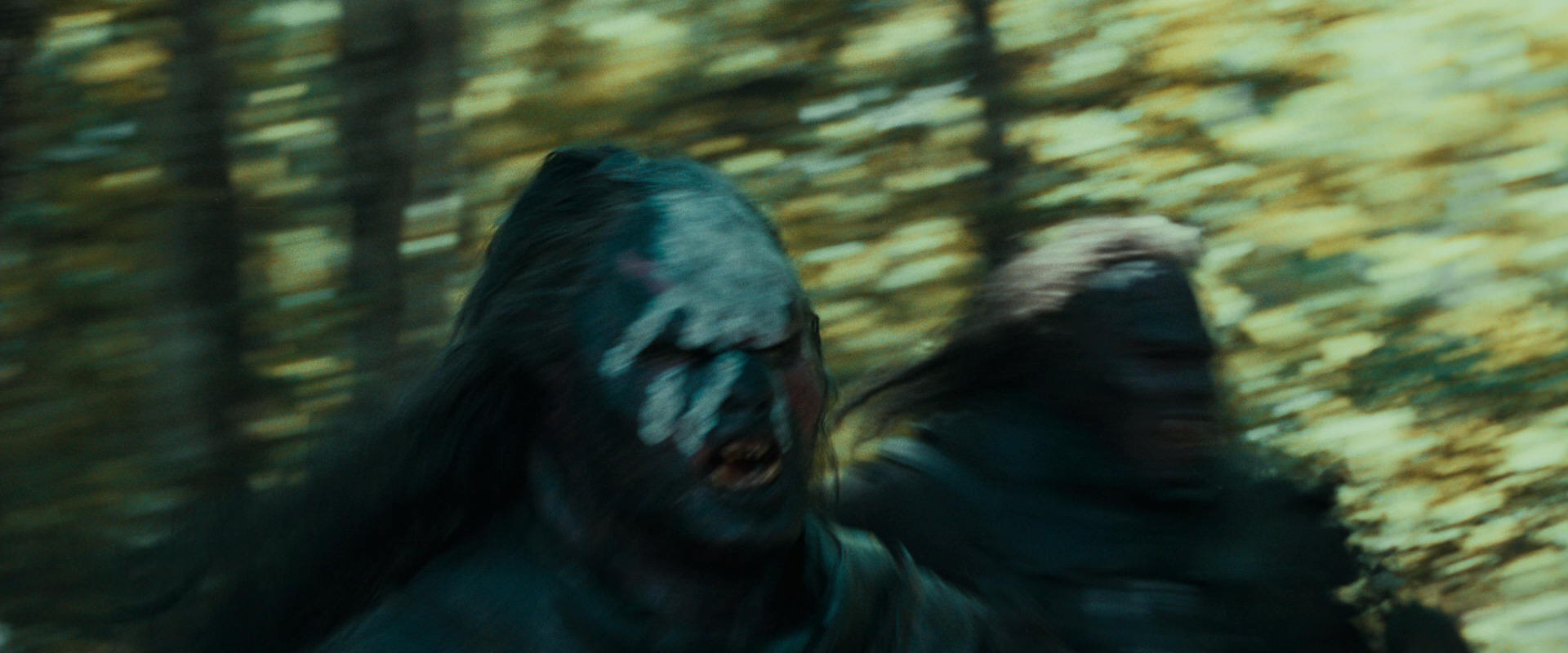 The Lord of the Rings: The Fellowship of the Ring (2001) screencap 20613