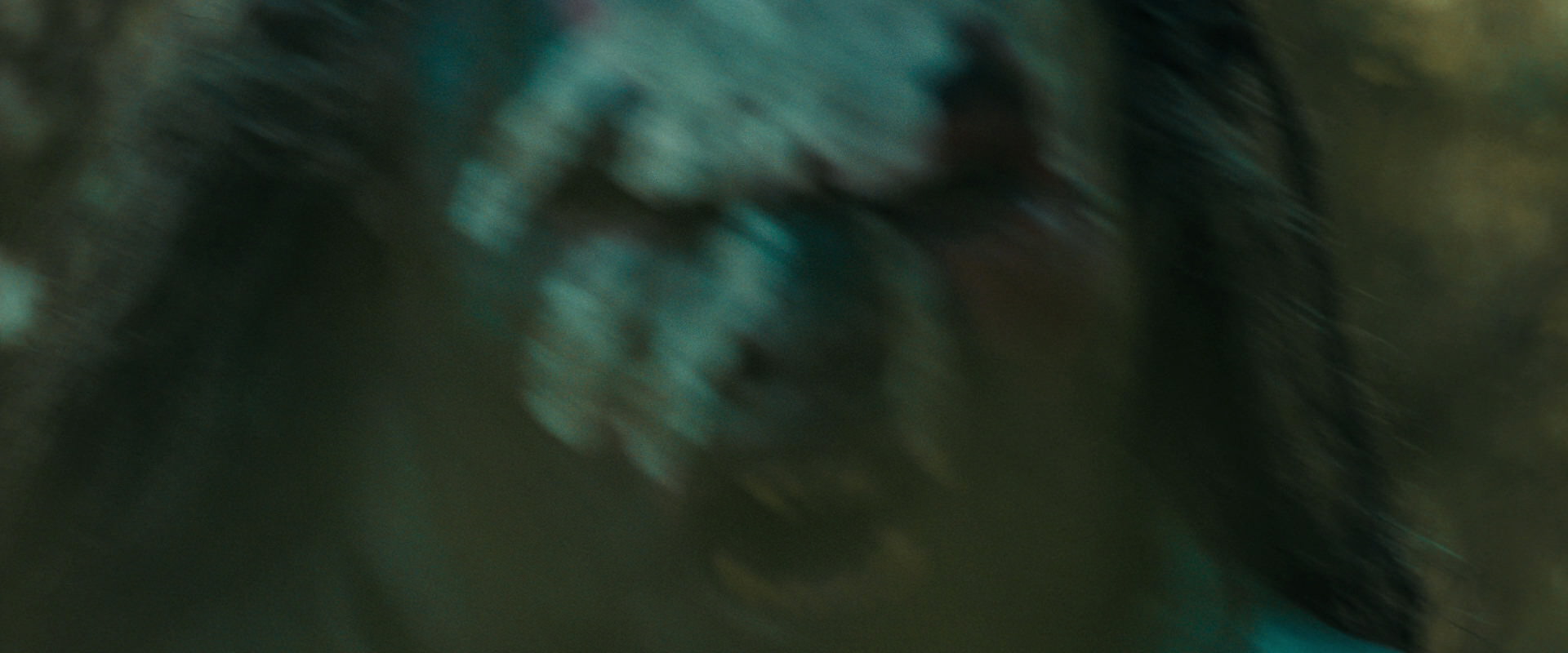 The Lord of the Rings: The Fellowship of the Ring (2001) screencap 20628