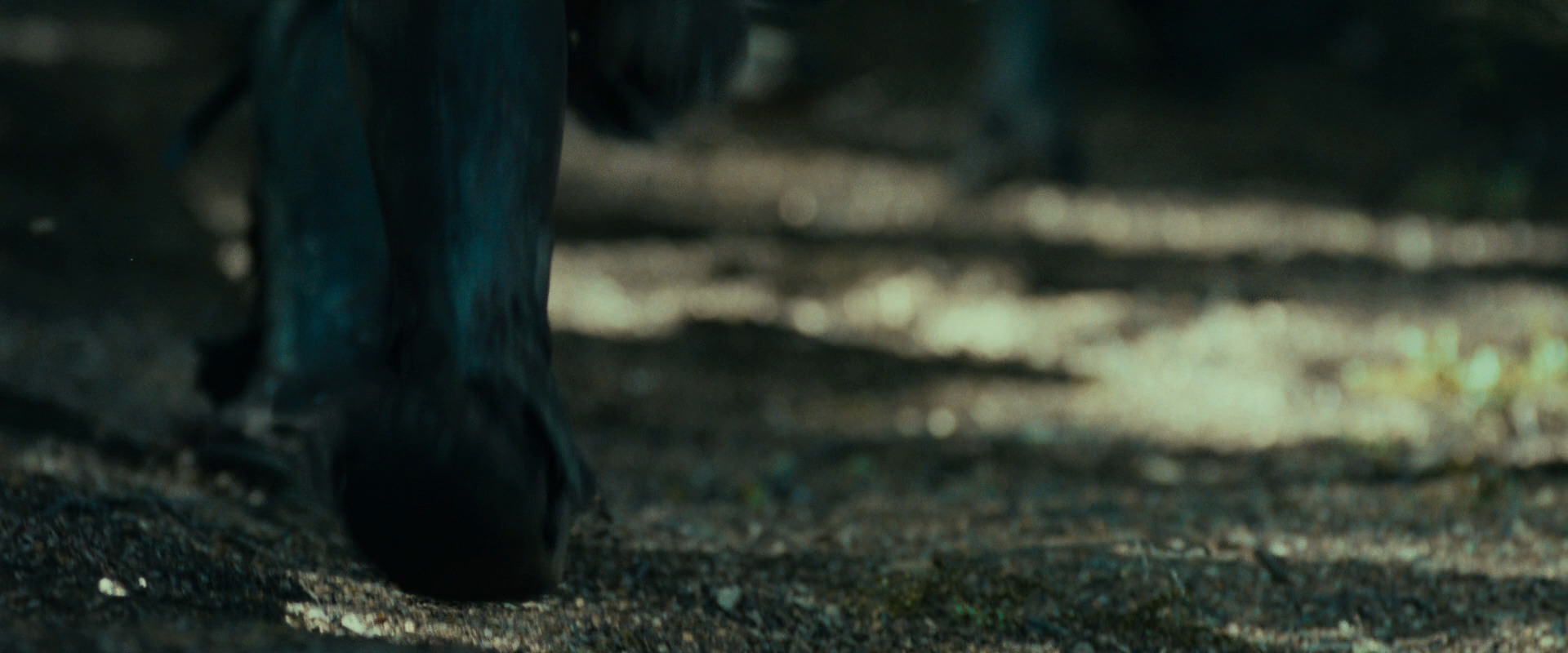 The Lord of the Rings: The Fellowship of the Ring (2001) HD screenshot 20642