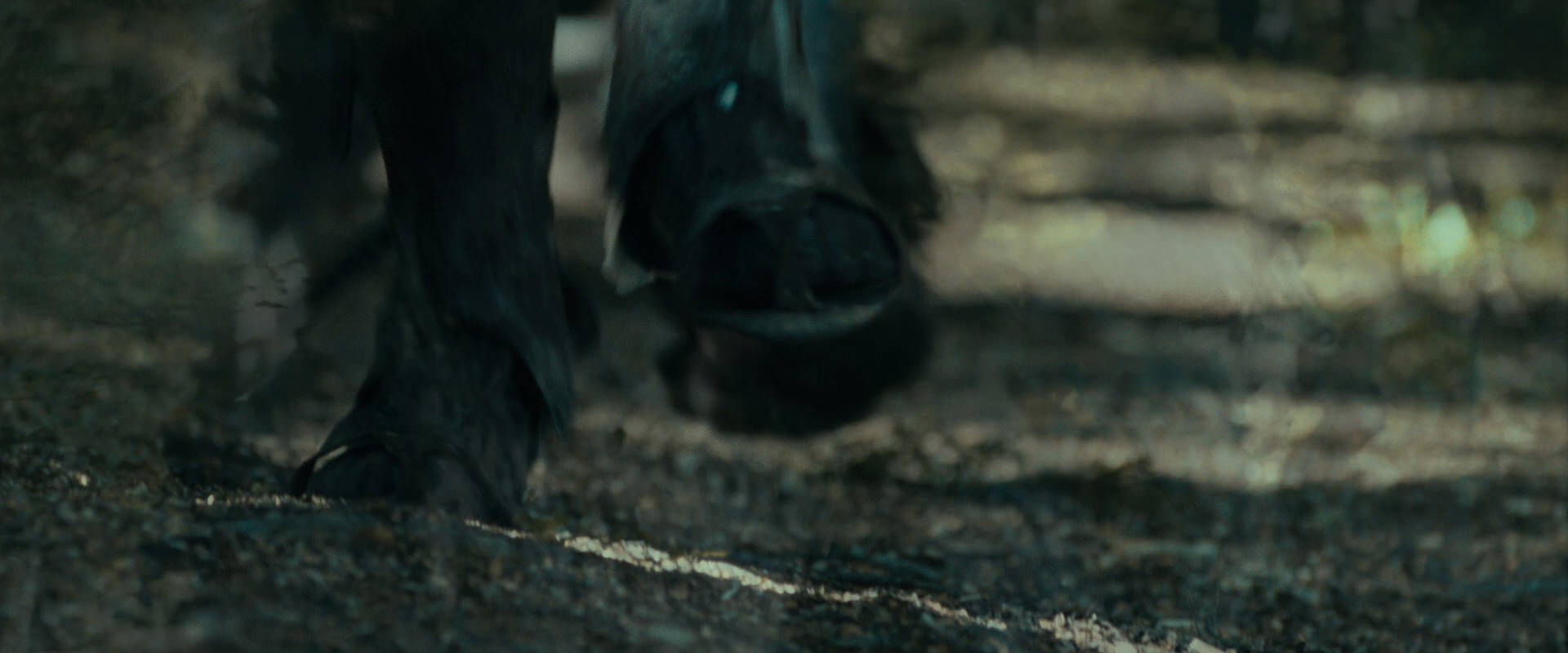 The Lord of the Rings: The Fellowship of the Ring (2001) screencap 20643