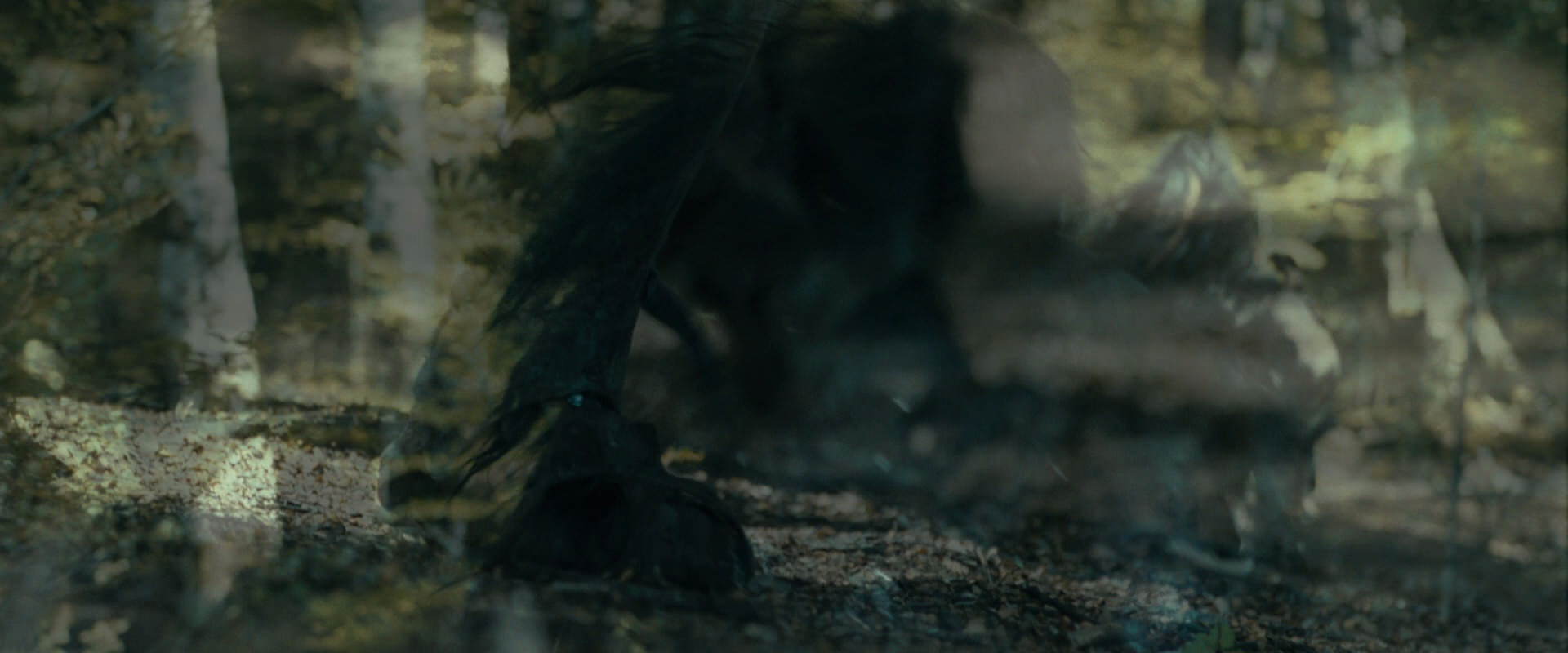 The Lord of the Rings: The Fellowship of the Ring (2001) movie still 20644