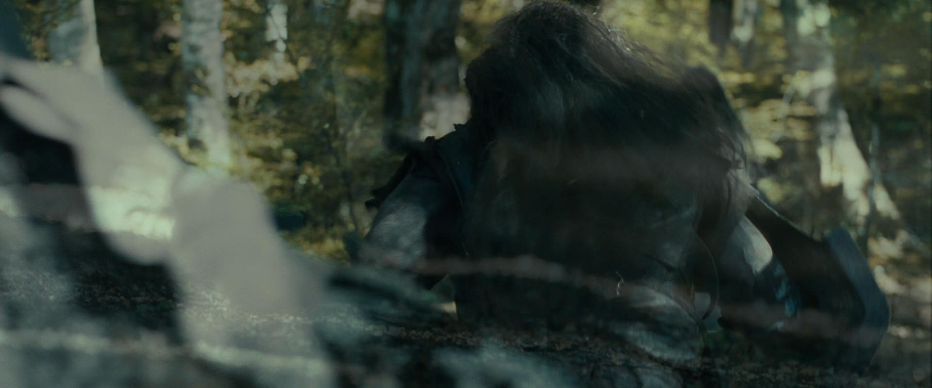 The Lord of the Rings: The Fellowship of the Ring (2001) HD screenshot 20645