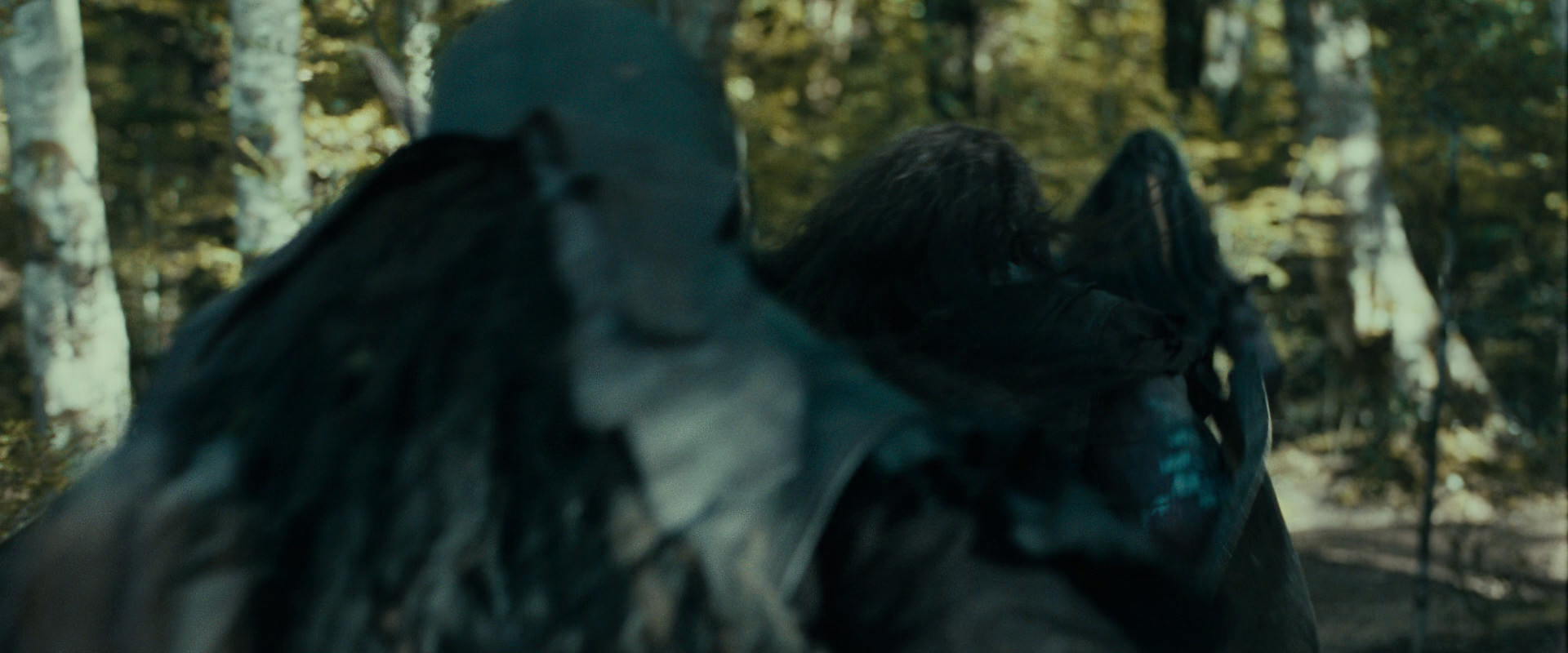 The Lord of the Rings: The Fellowship of the Ring (2001) screencap 20646