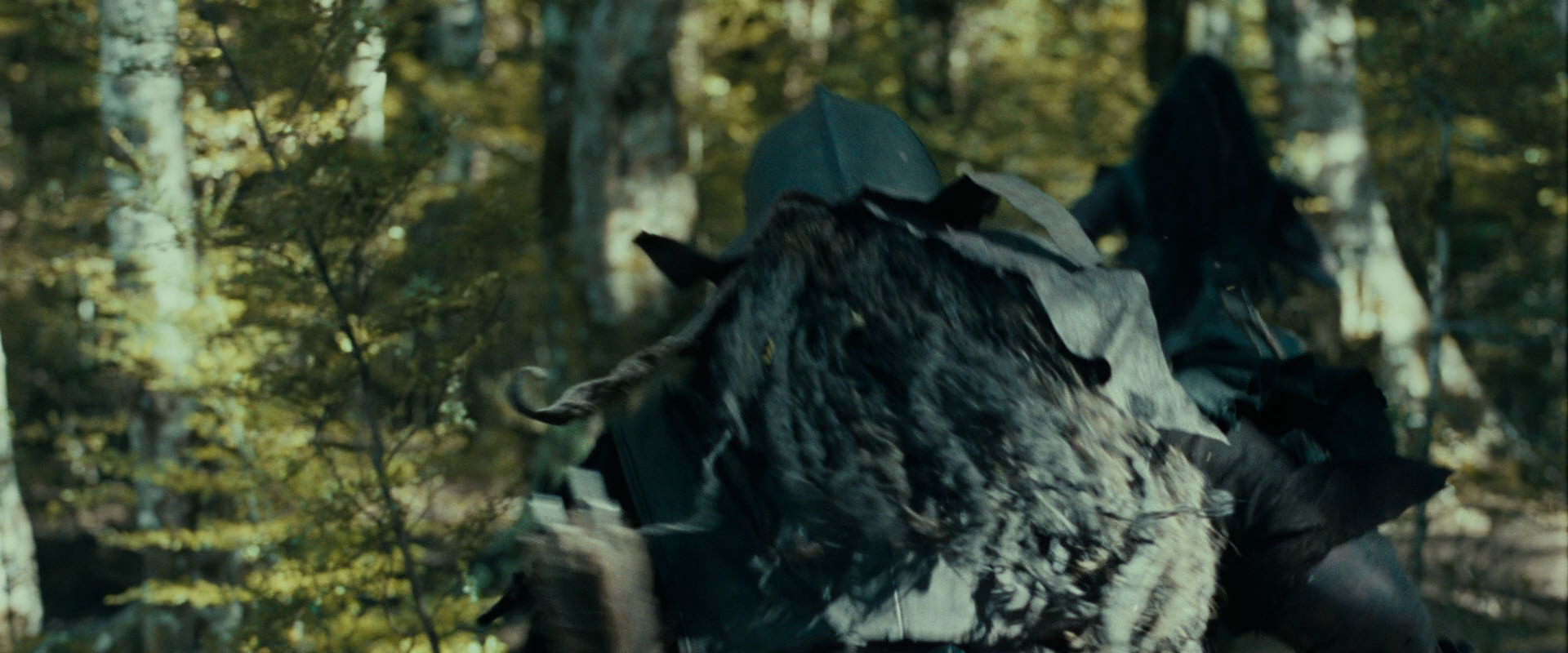 The Lord of the Rings: The Fellowship of the Ring (2001) HD screenshot 20648