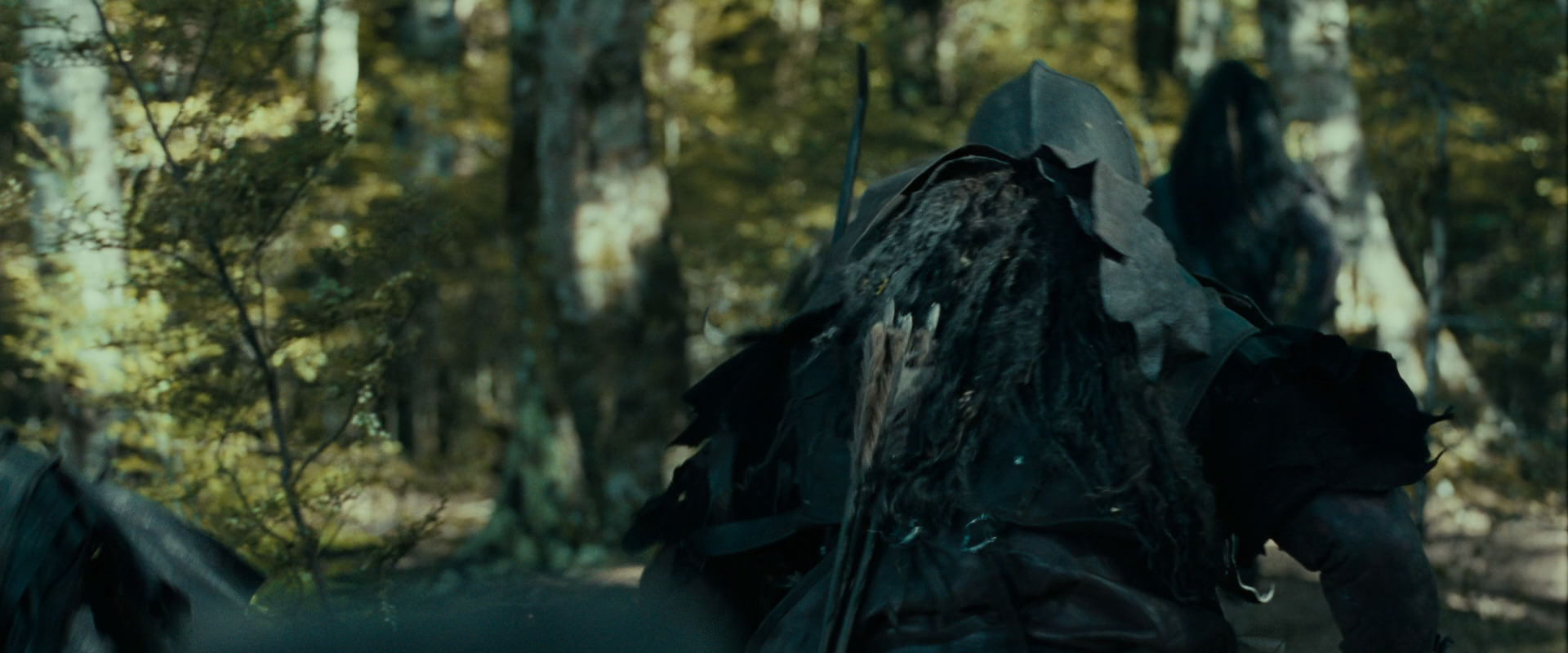The Lord of the Rings: The Fellowship of the Ring (2001) screencap 20649