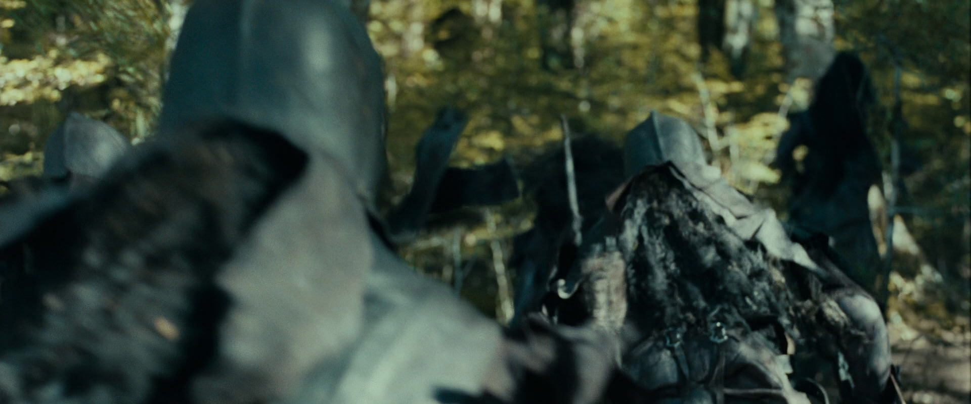 The Lord of the Rings: The Fellowship of the Ring (2001) HD screenshot 20651