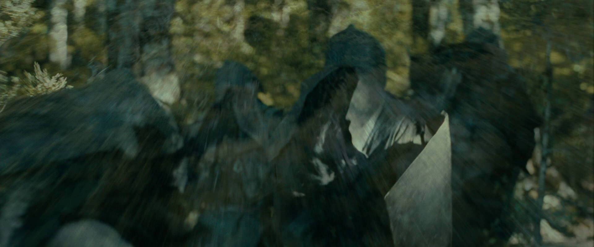 The Lord of the Rings: The Fellowship of the Ring (2001) screencap 20655