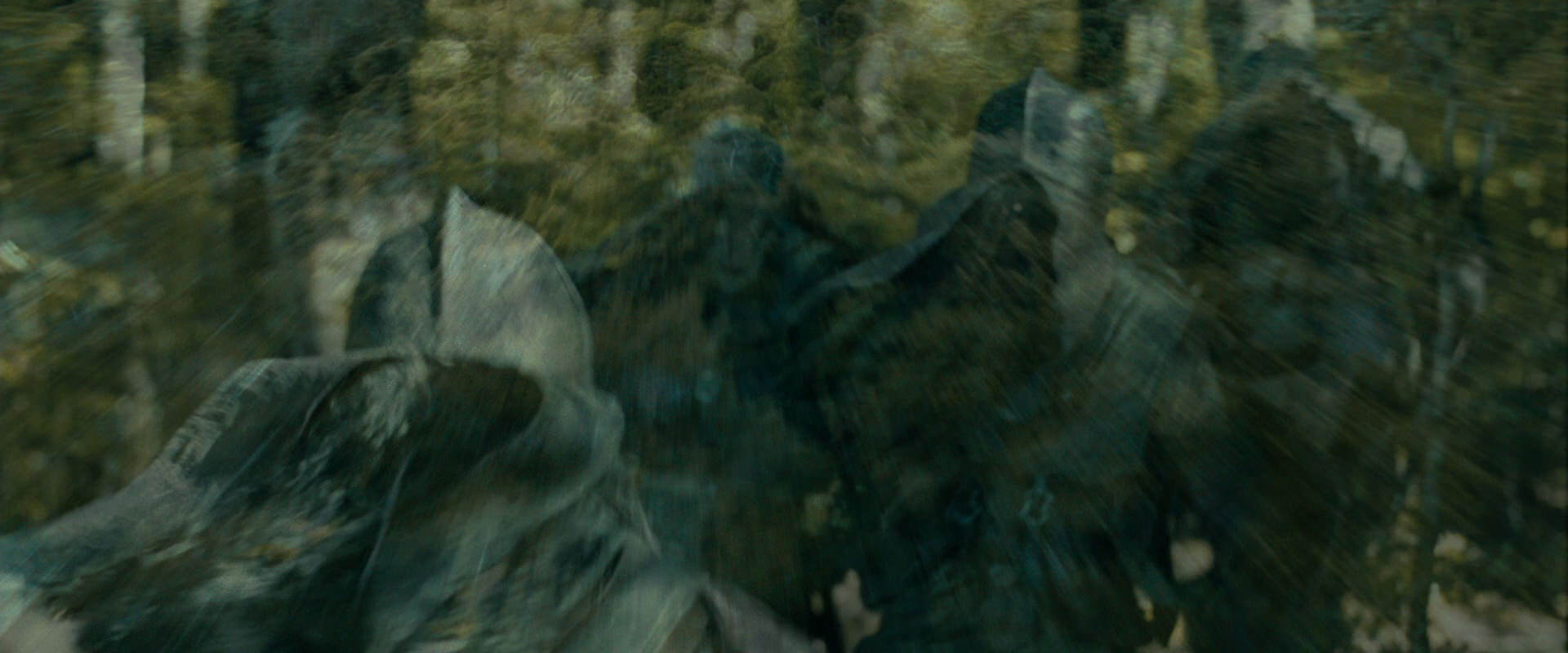 The Lord of the Rings: The Fellowship of the Ring (2001) movie still 20656