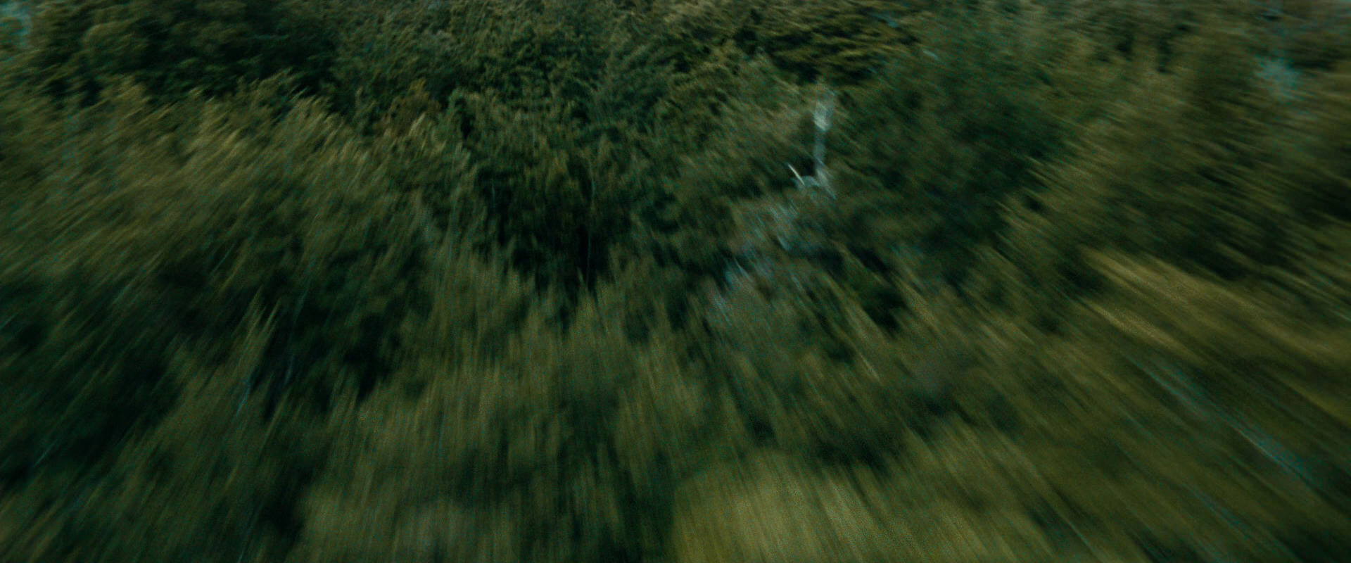 The Lord of the Rings: The Fellowship of the Ring (2001) screencap 20661