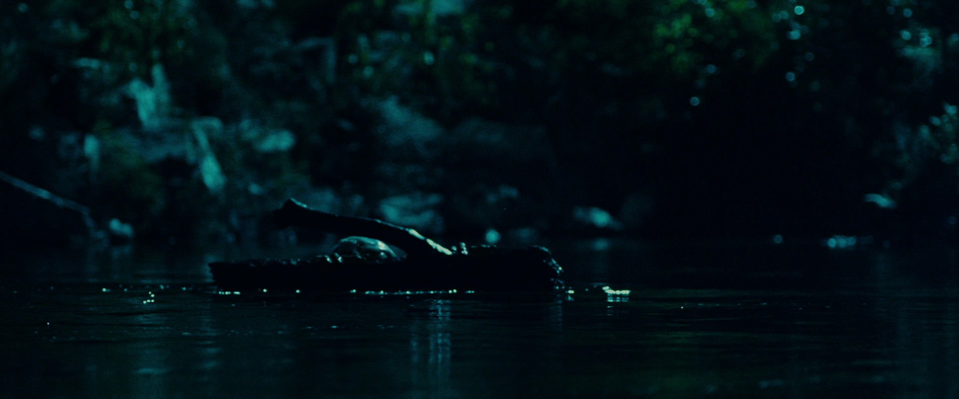 The Lord of the Rings: The Fellowship of the Ring (2001) HD screenshot 20693