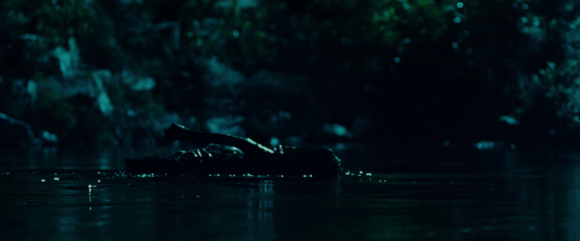 The Lord of the Rings: The Fellowship of the Ring (2001) screencap 20694