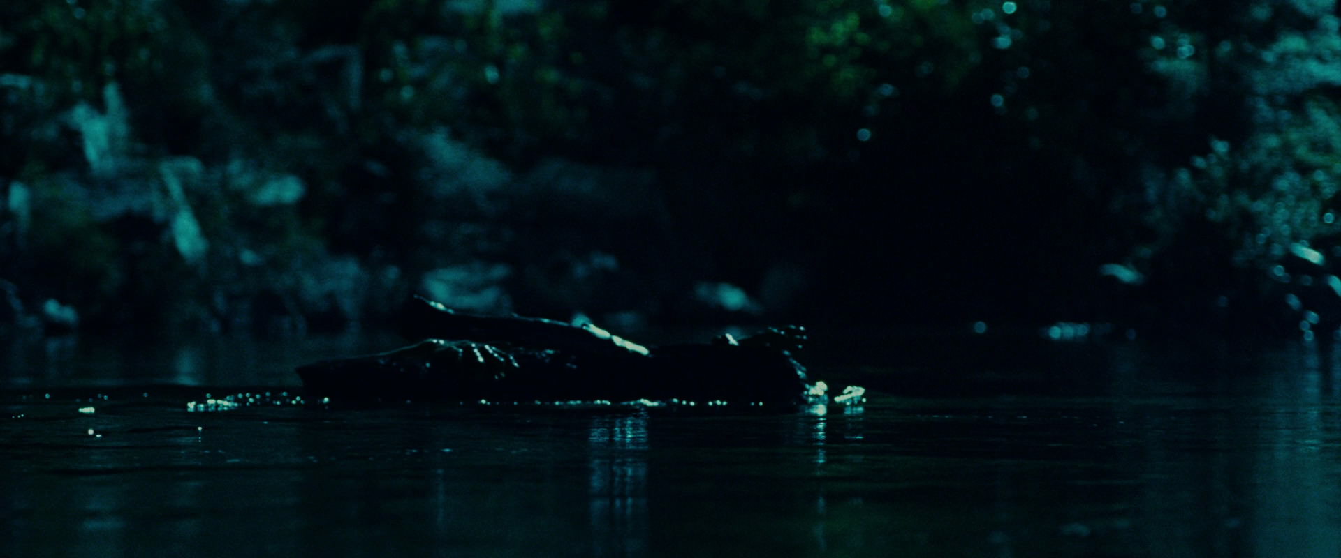The Lord of the Rings: The Fellowship of the Ring (2001) movie still 20695