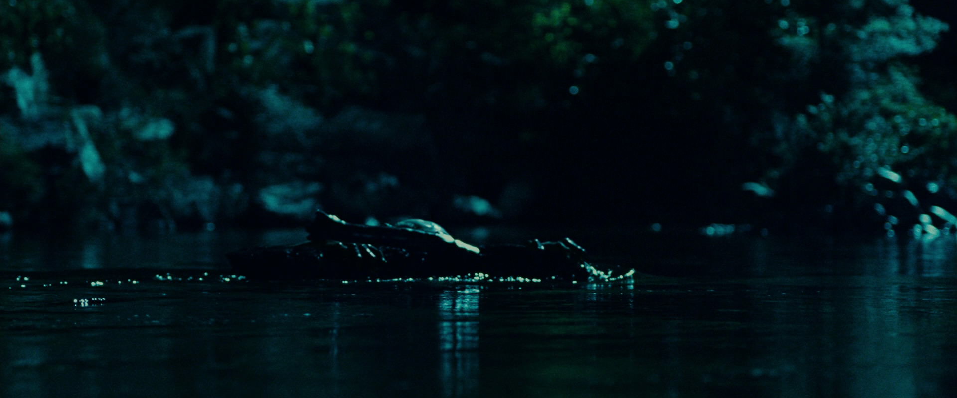 The Lord of the Rings: The Fellowship of the Ring (2001) HD screenshot 20696