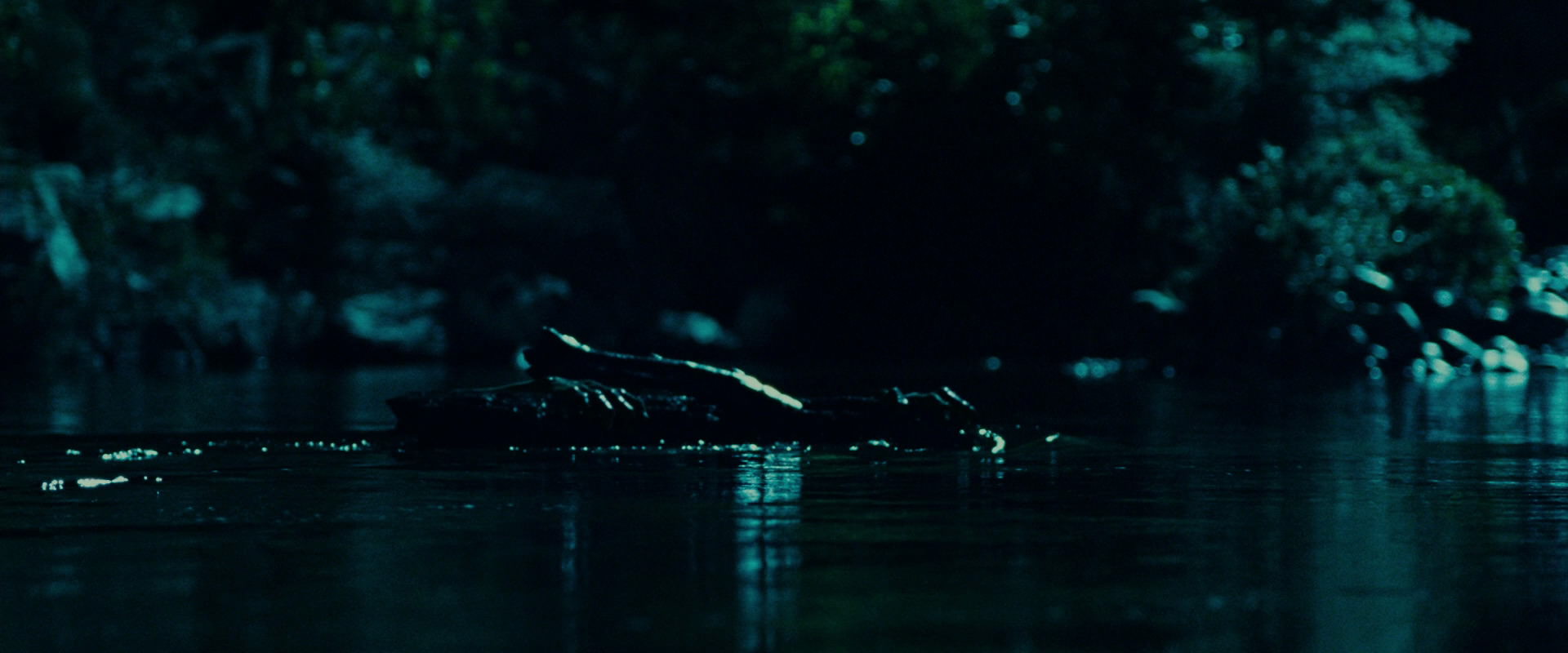 The Lord of the Rings: The Fellowship of the Ring (2001) screencap 20697