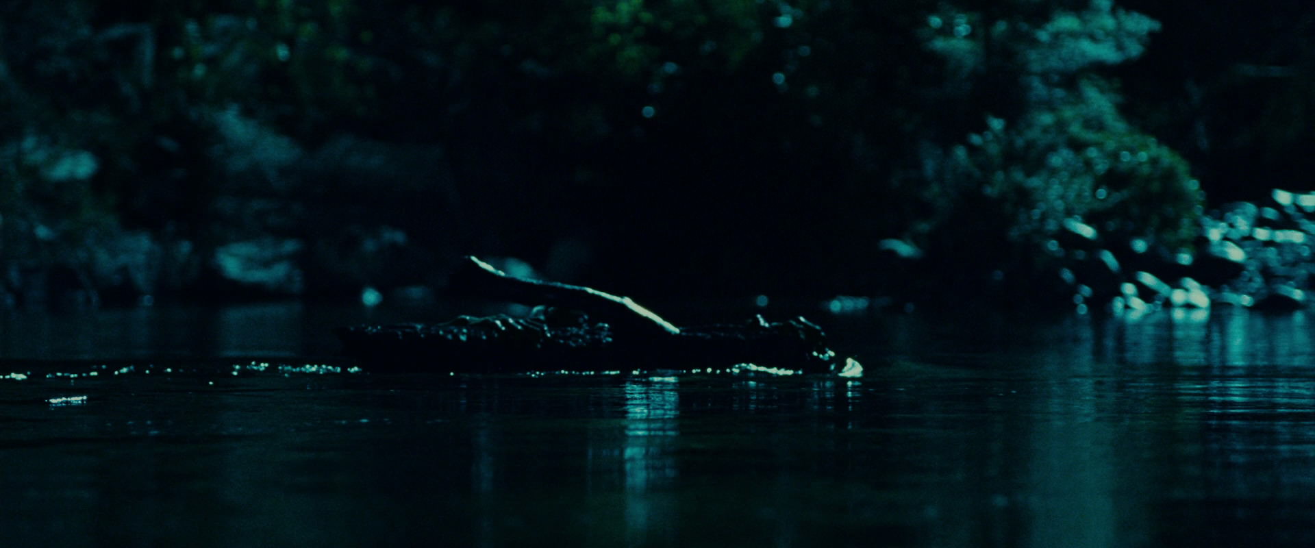 The Lord of the Rings: The Fellowship of the Ring (2001) movie still 20698