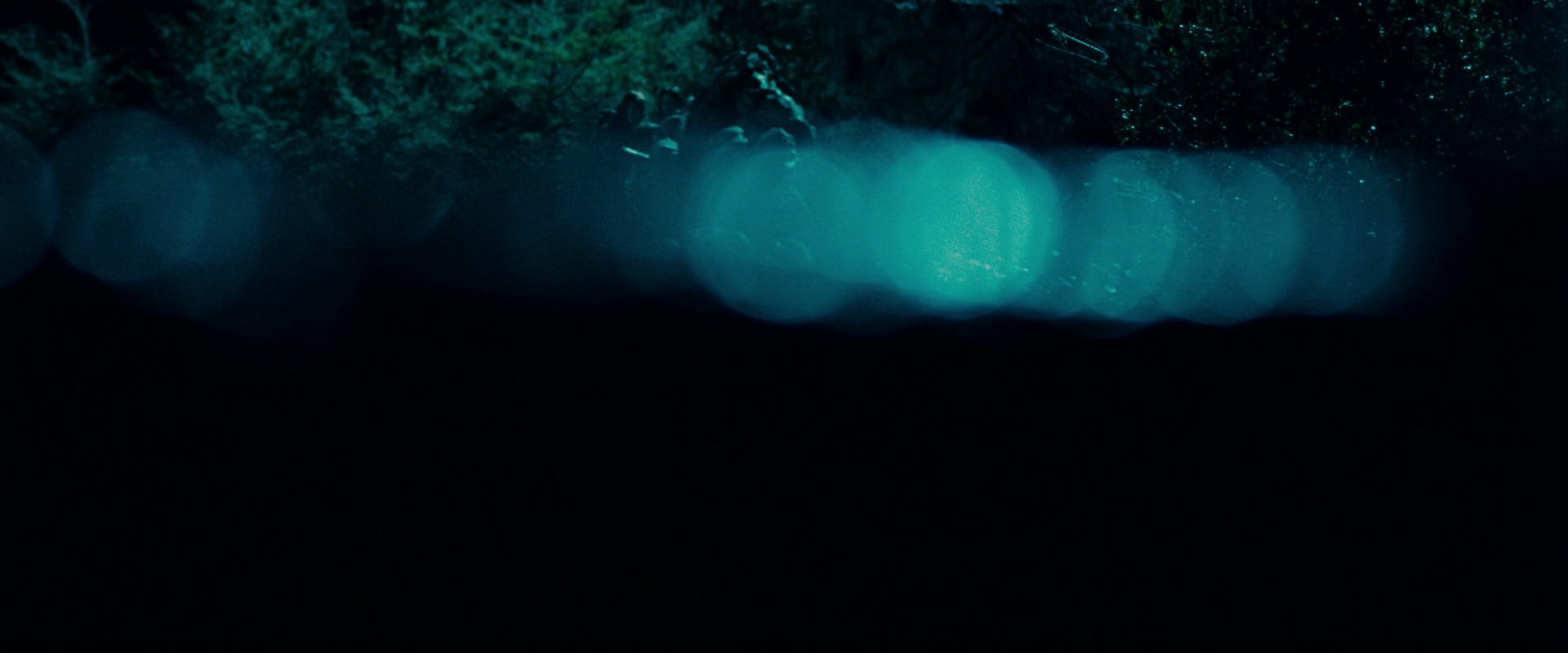 The Lord of the Rings: The Fellowship of the Ring (2001) HD screenshot 20714