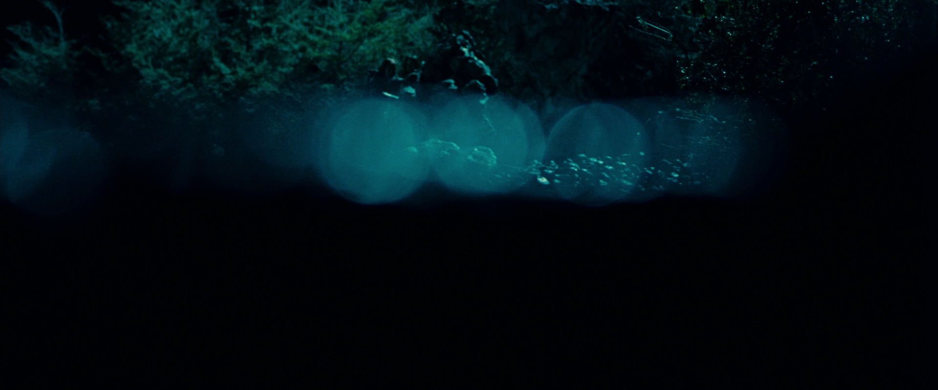 The Lord of the Rings: The Fellowship of the Ring (2001) screencap 20715