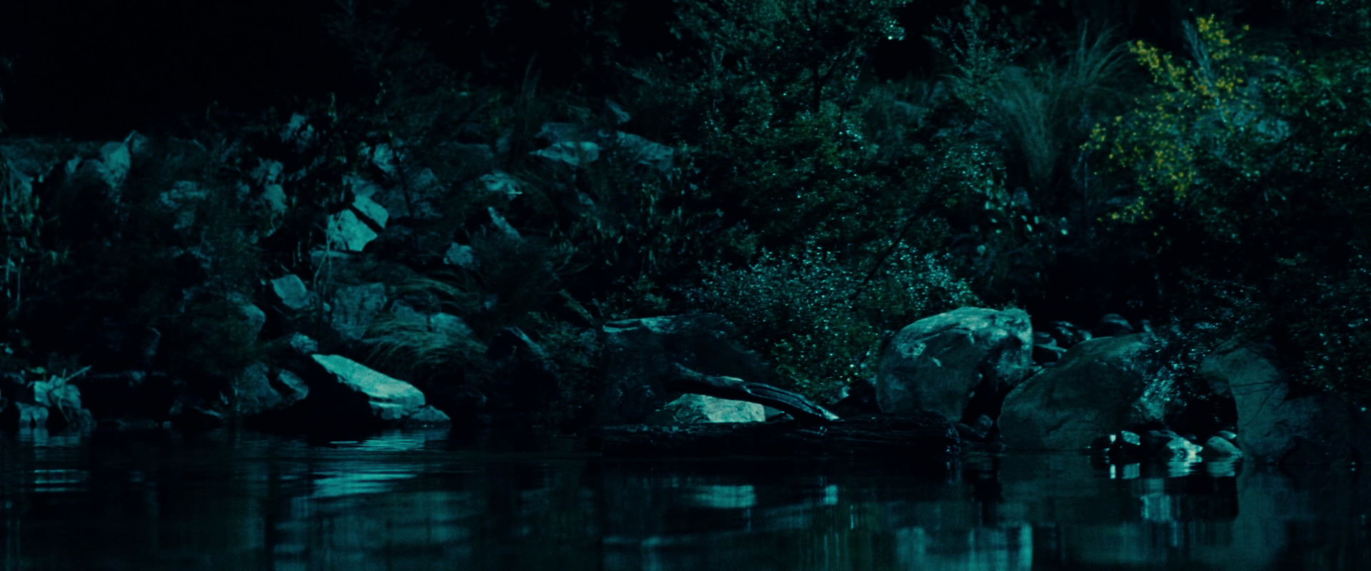 The Lord of the Rings: The Fellowship of the Ring (2001) movie still 20716