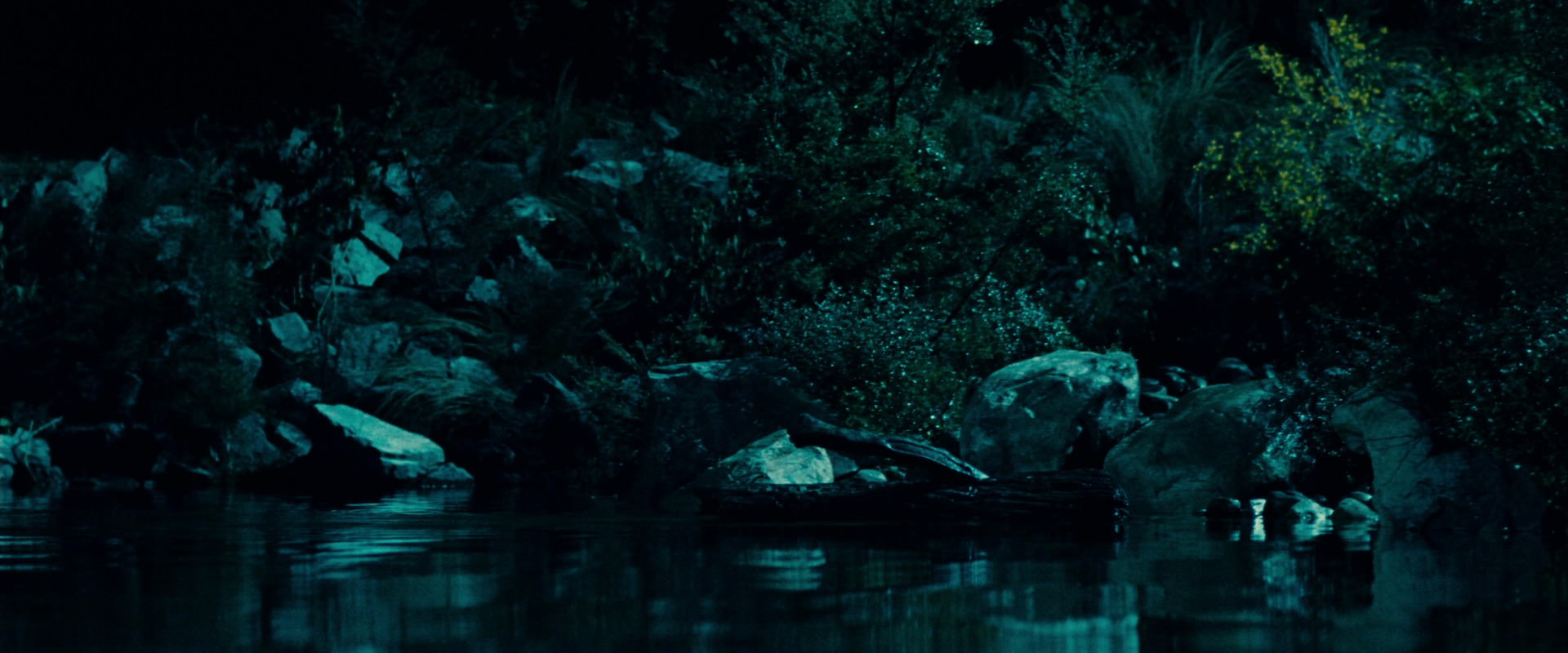 The Lord of the Rings: The Fellowship of the Ring (2001) HD screenshot 20717