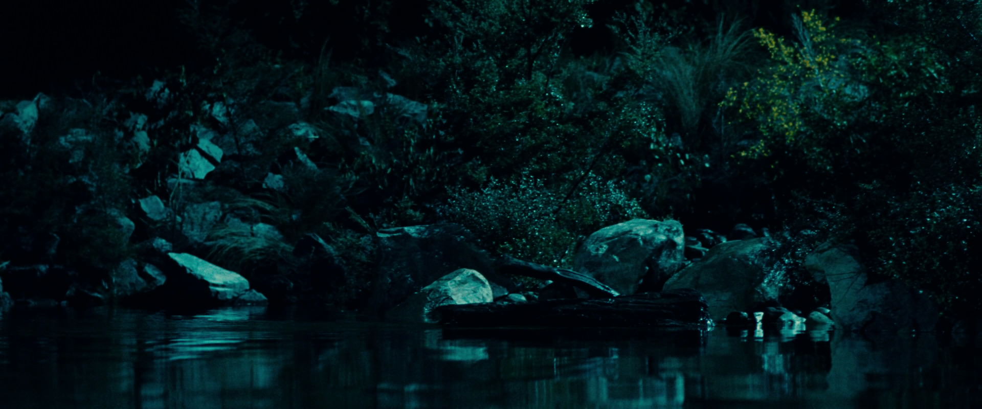 The Lord of the Rings: The Fellowship of the Ring (2001) screencap 20718