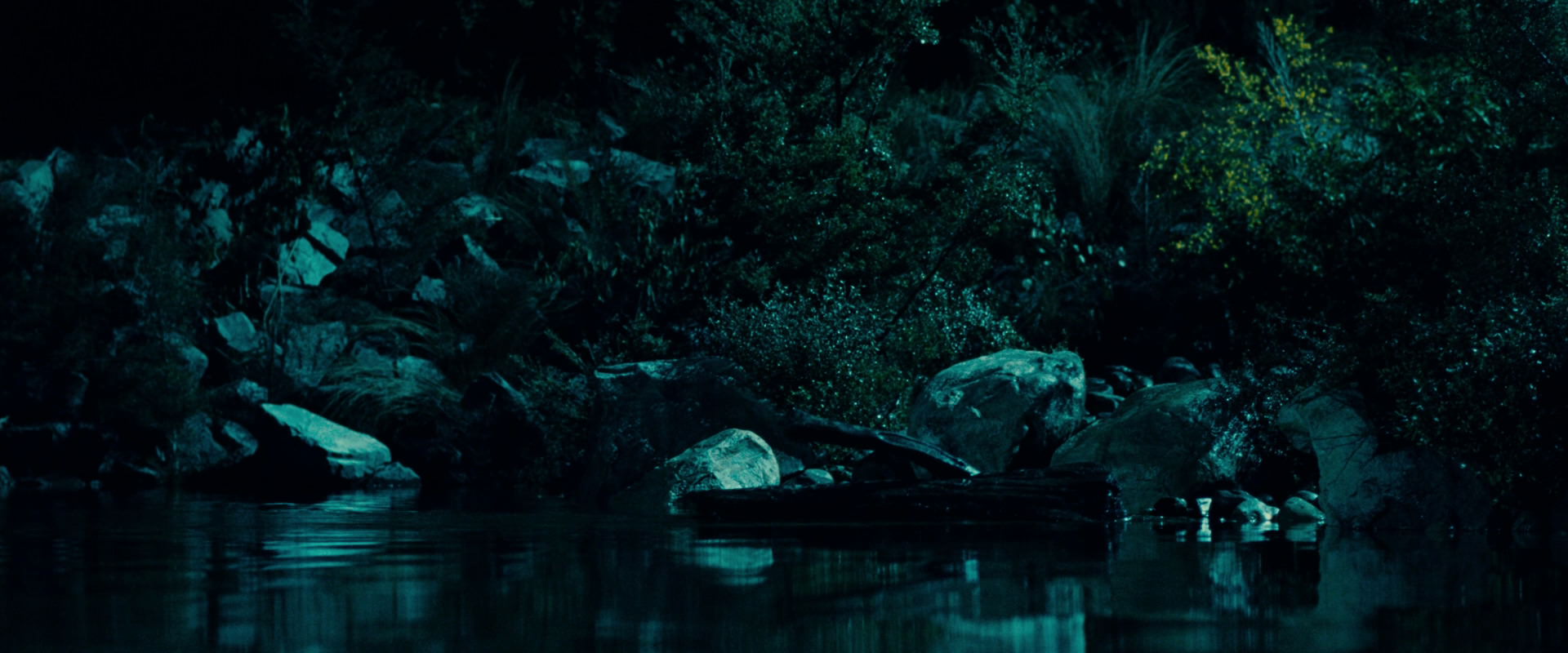 The Lord of the Rings: The Fellowship of the Ring (2001) movie still 20719