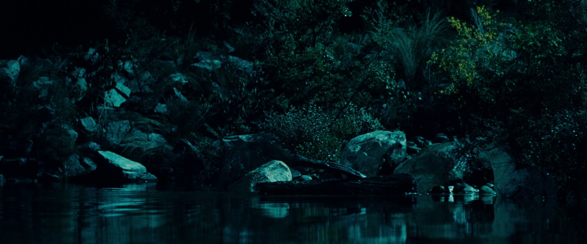 The Lord of the Rings: The Fellowship of the Ring (2001) HD screenshot 20720