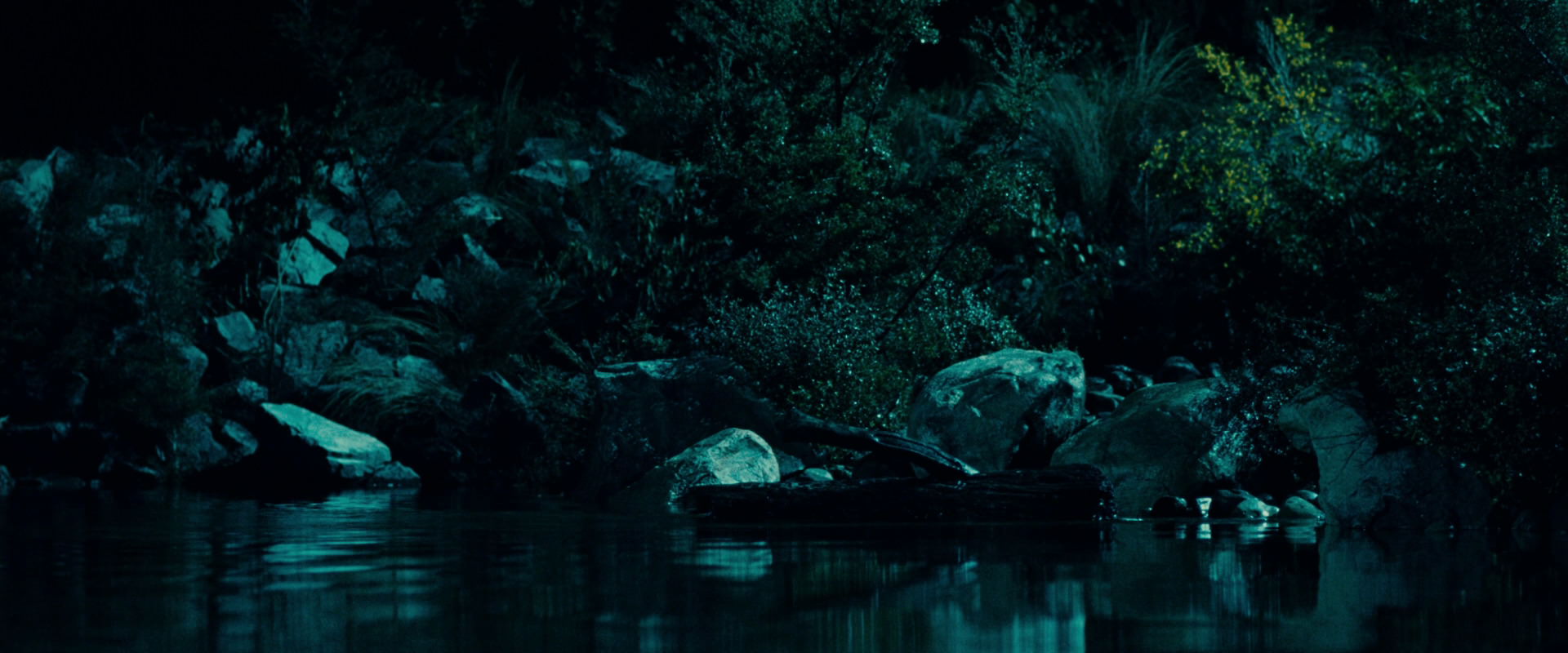The Lord of the Rings: The Fellowship of the Ring (2001) screencap 20721