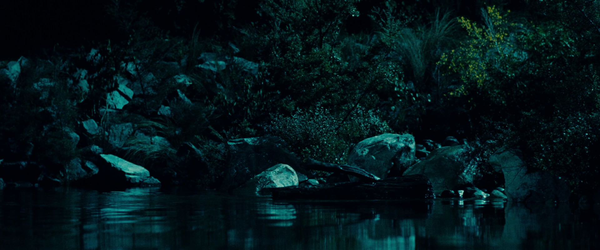 The Lord of the Rings: The Fellowship of the Ring (2001) movie still 20722